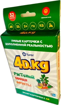4D KG — умные карточки